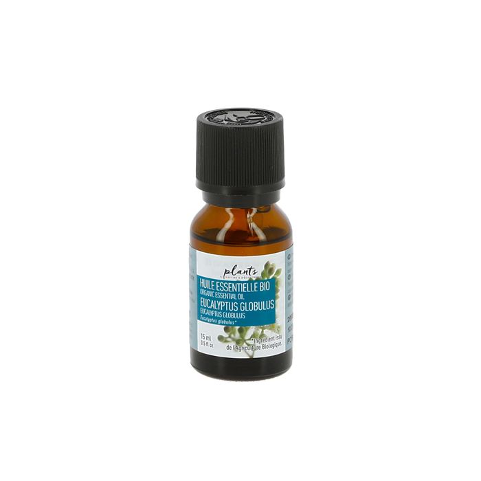 HE 15ML EUCALYPTUS GLOBULUS PLANTS