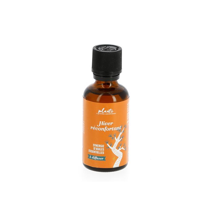SYNERGIE HIVER RECONFORTANT 50ML 2020