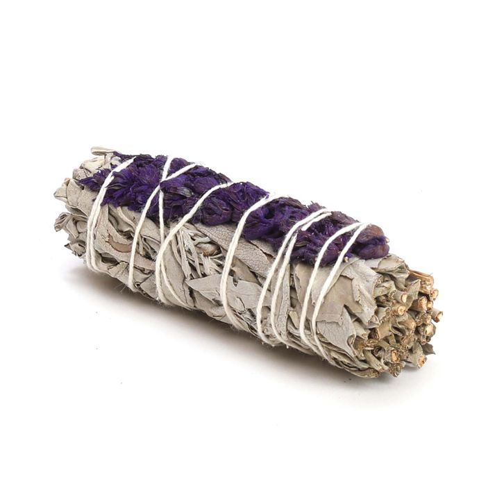 SAUGE FLEURIE VIOLETTE