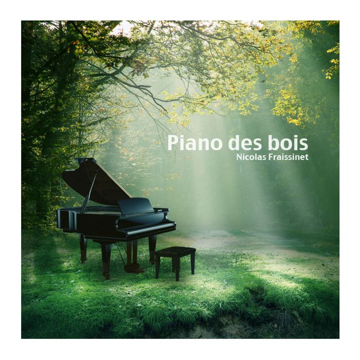 CD PIANO DES BOIS