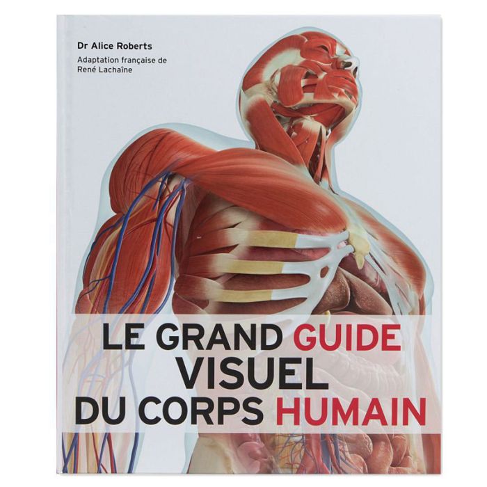 GUIDE VISUEL DU CORPS HUMAIN >10216280