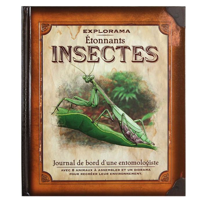 INSECTES ETONNANTS EXPLORAMA