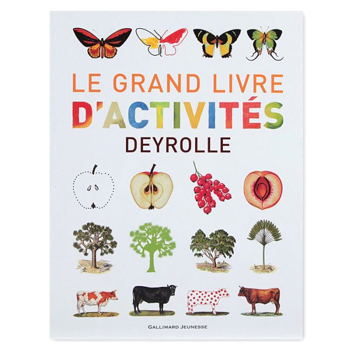 DEYROLLE LIVRE D'ACTIVITES