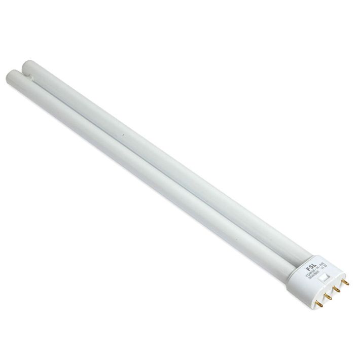 AMPOULE 15136960