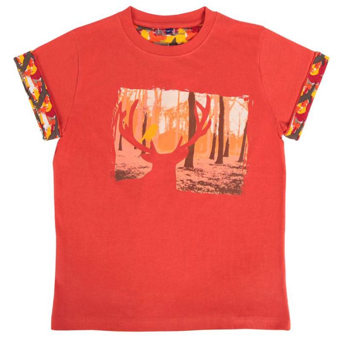 TEE SHIRT FORET BRIQUE 10 ANS