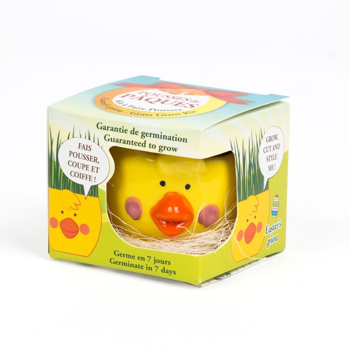 KIT DE PLANTATION OEUF