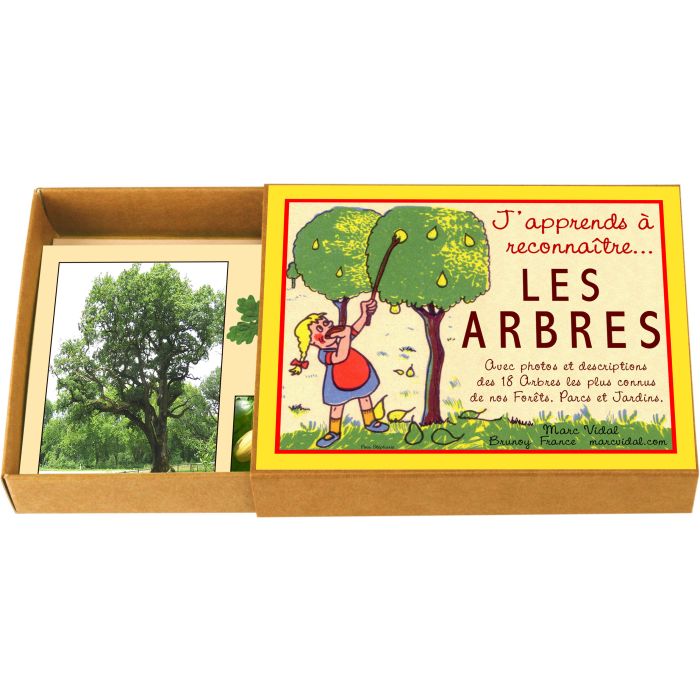 J'apprends à reconnaître les arbres