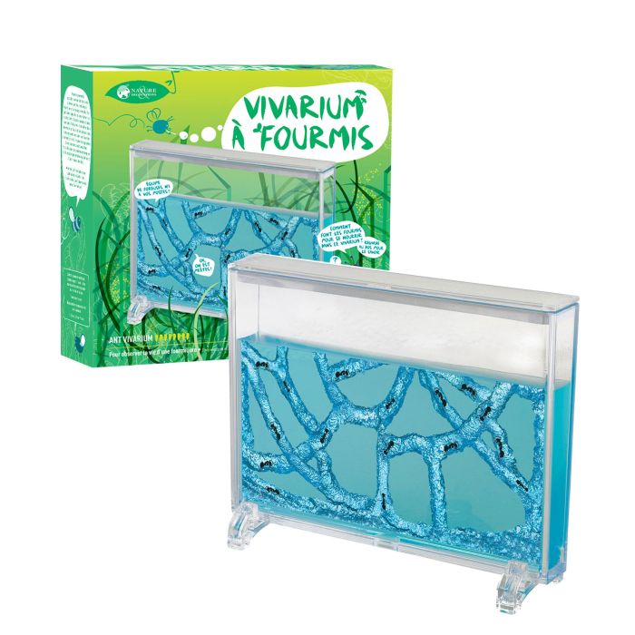 VIVARIUM A FOURMIS