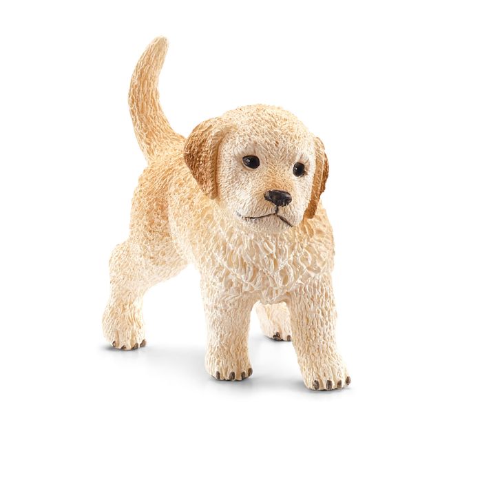 CHIOT GOLDEN RETRIEVER