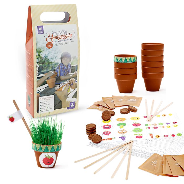 KIT ANNIVERSAIRE GAZON A FAIRE POUSSER