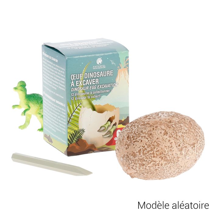 OEUF DINOSAURE A EXCAVER