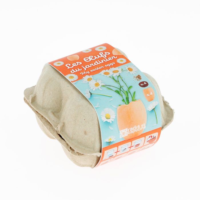 BOITE A OEUFS A FAIRE POUSSER