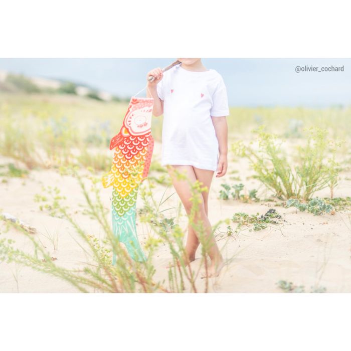 KOINOBORI ARC-EN-CIEL