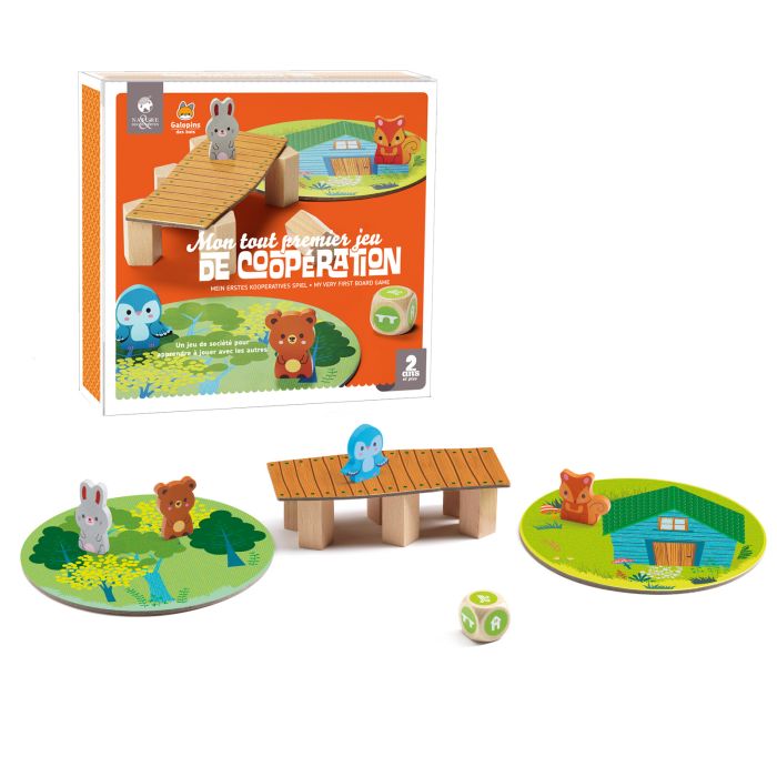 MON TOUT PREMIER JEU DE COOPERATION