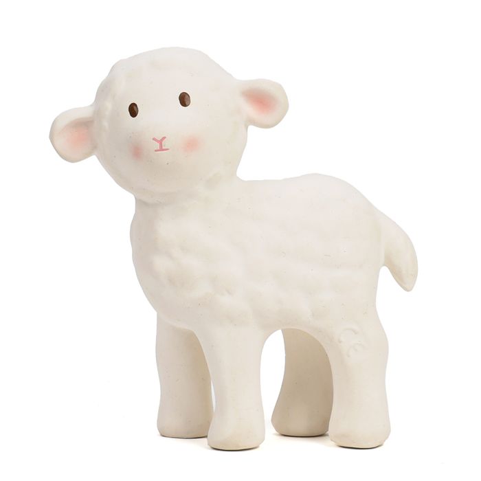 MOUTON HOCHET DENTITION