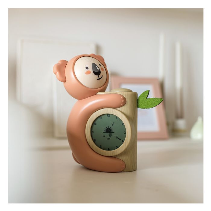 COMPAGNON SOMMEIL KOALA