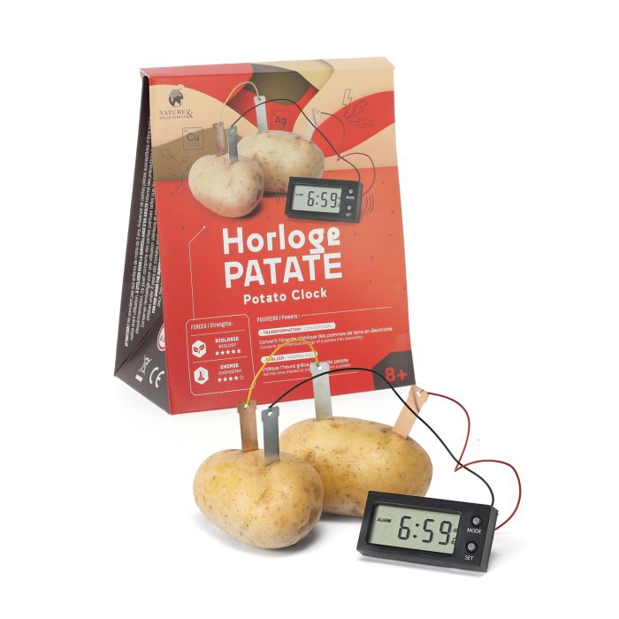 HORLOGE PATATE