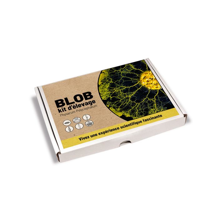 Coffret élevage de blob • Nature & Découvertes Suisse