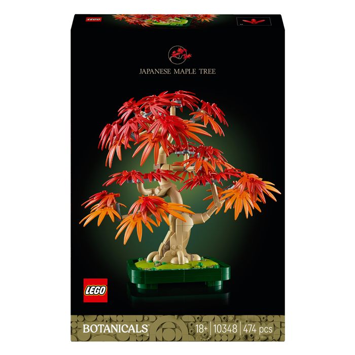 BONSAI D’ERABLE ROUGE DU JAPON