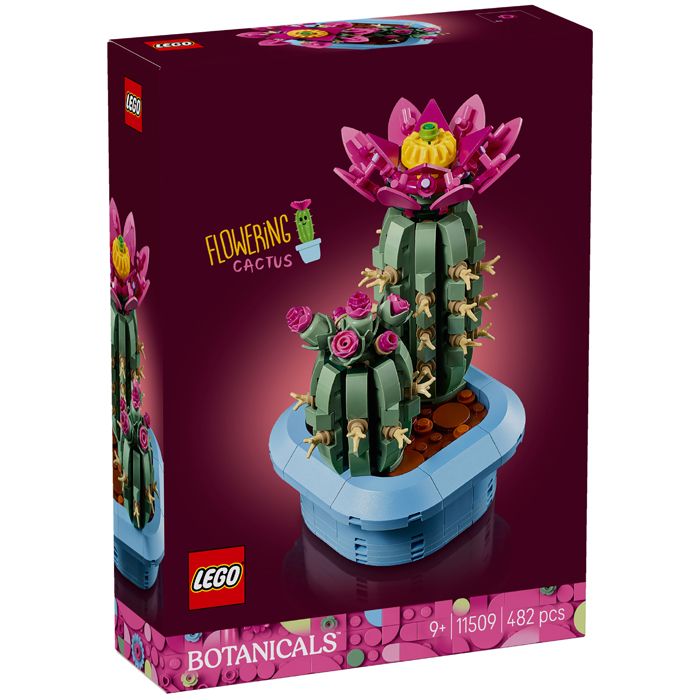 CACTUS FLEURIS