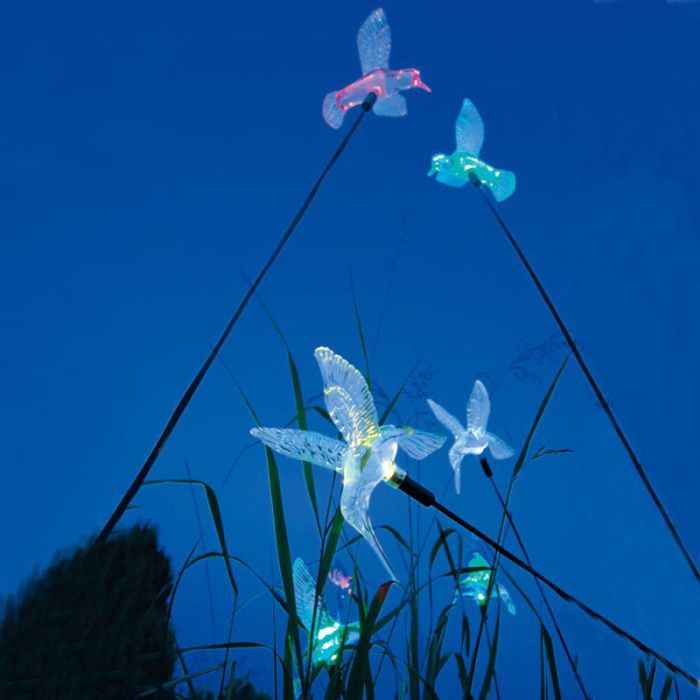 COLIBRI SOLAIRE