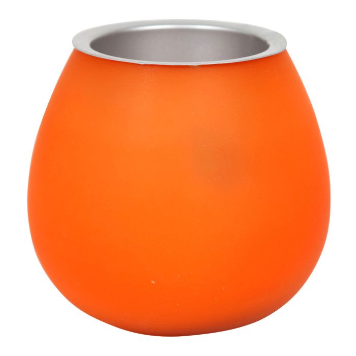 PHOTOPH OISEAU ORANGE