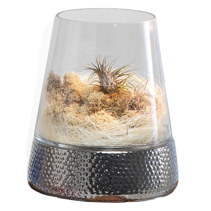 Terrarium en verre • Nature & Découvertes Suisse