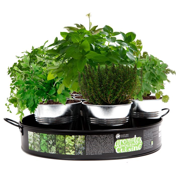 PLATEAU 7 POTS AROMATES