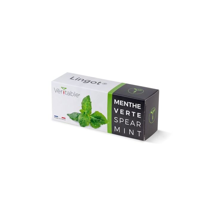 LINGOT MENTHE VERTE