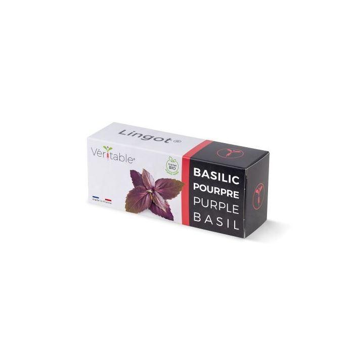 LINGOT BASILIC POURPRE BIO