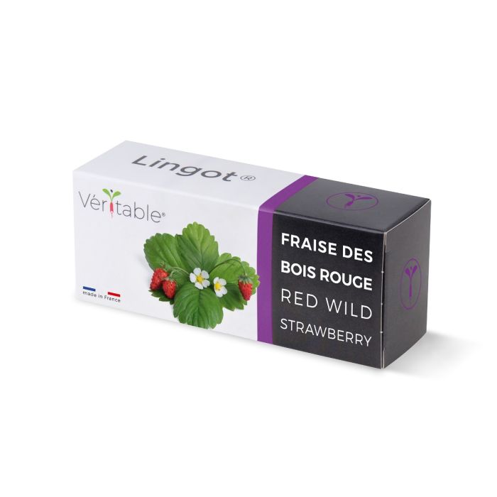 LINGOT FRAISE DES BOIS ROUGE