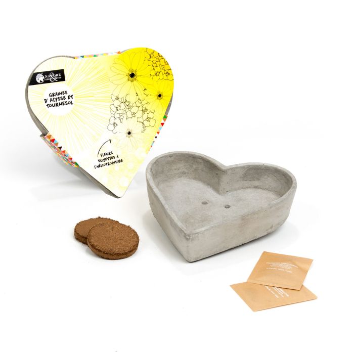 COEUR TOURNESOL