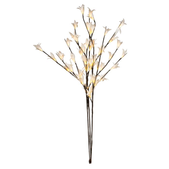 FLEURS DE CALLA LUMINEUSES