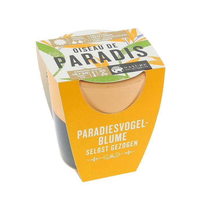 OISEAU DE PARADIS ? FAIRE POUSSER