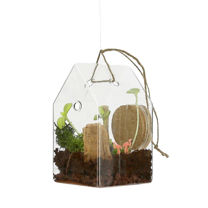 Terrarium à composer soimême • Nature & Découvertes Suisse