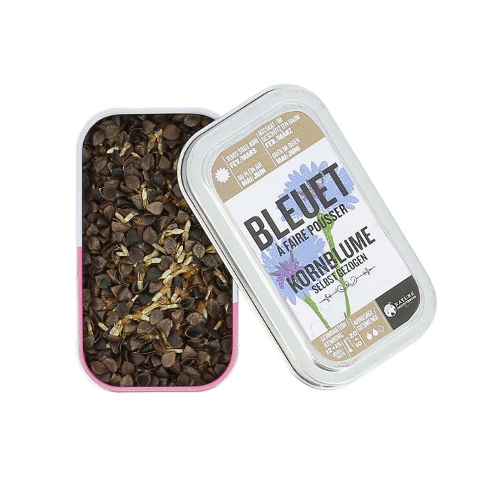 GRAINES DE BLEUET A FAIRE POUSSER