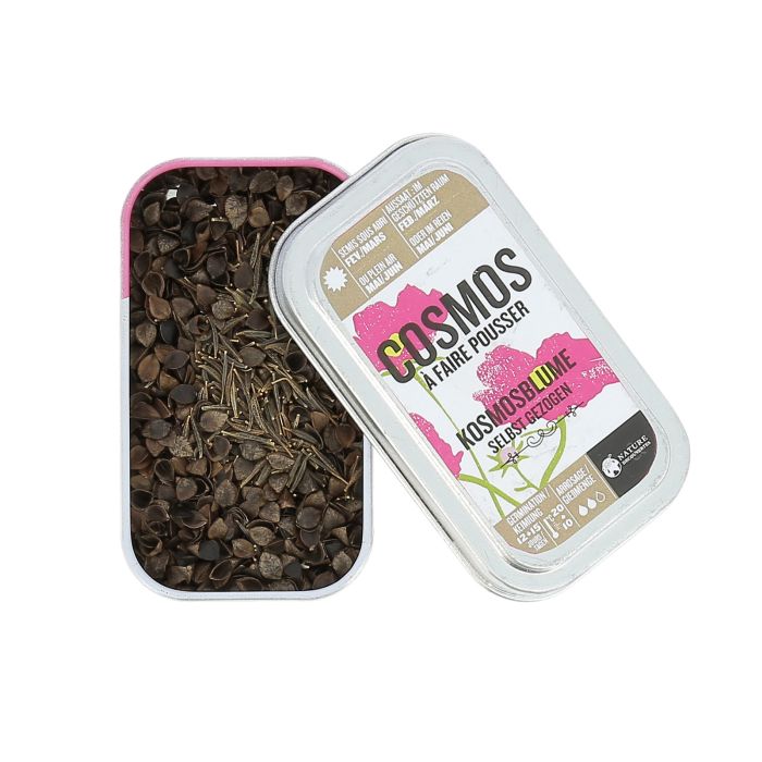 GRAINES DE COSMOS A FAIRE POUSSER