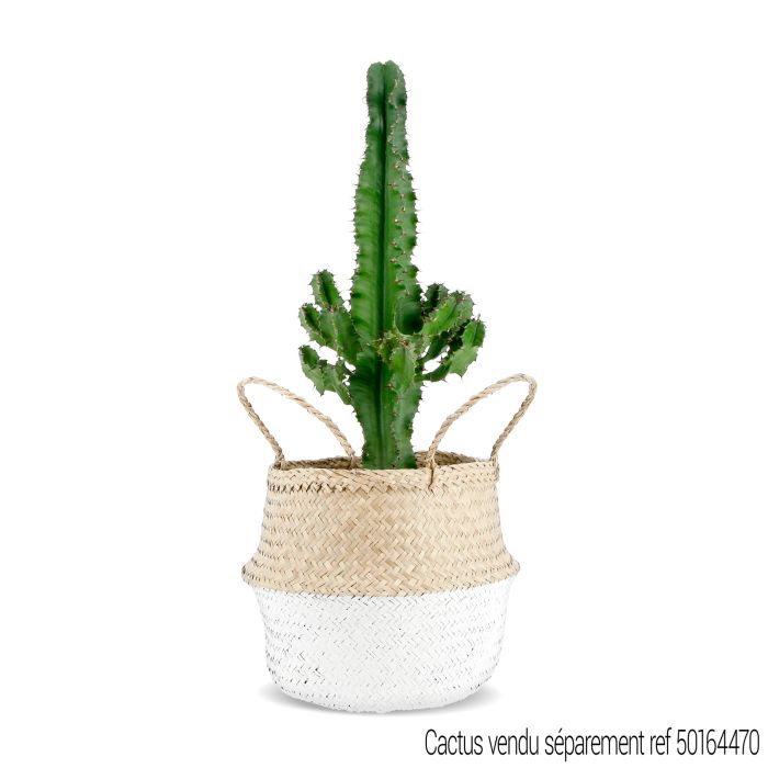 PANIER JONC DE MER NATUREL BLANC D25CM