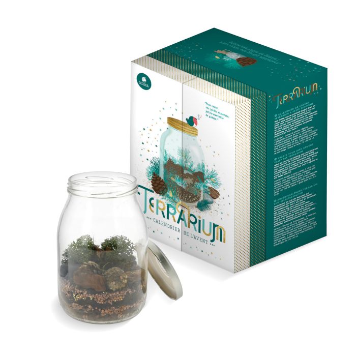 CALENDRIER DE L'AVENT TERRARIUM DIY