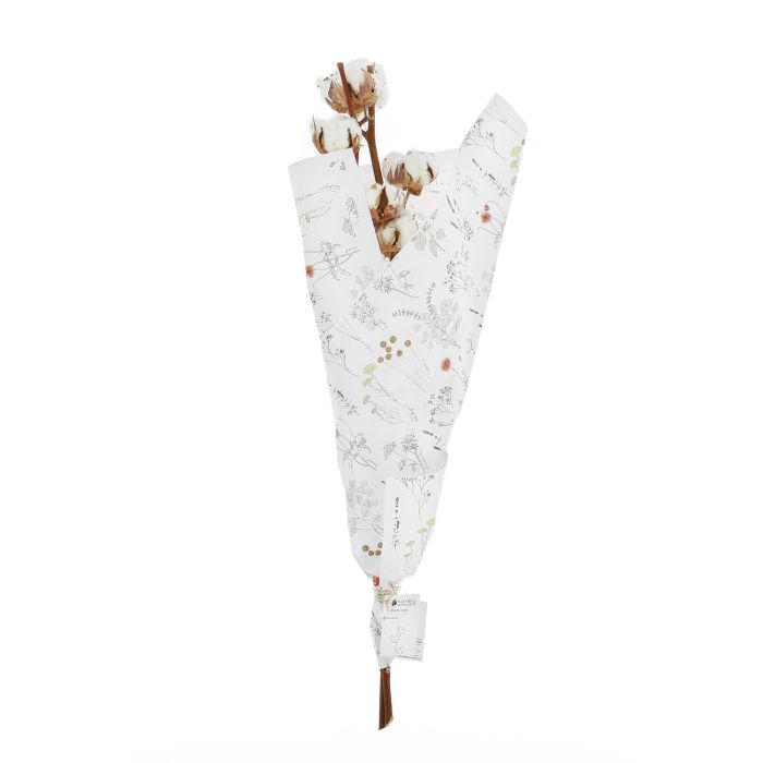 BRANCHE DE COTON 2 TIGES