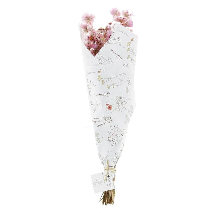 RHODANTE ROSE 15 TIGES