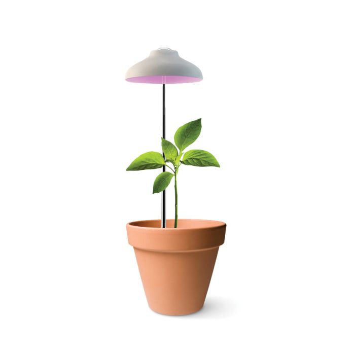 LAMPE HORTICOLE