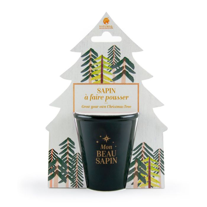 CARTE SAPIN A FAIRE POUSSER