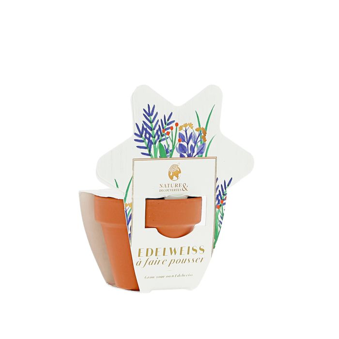 MINI KIT EDELWEISS