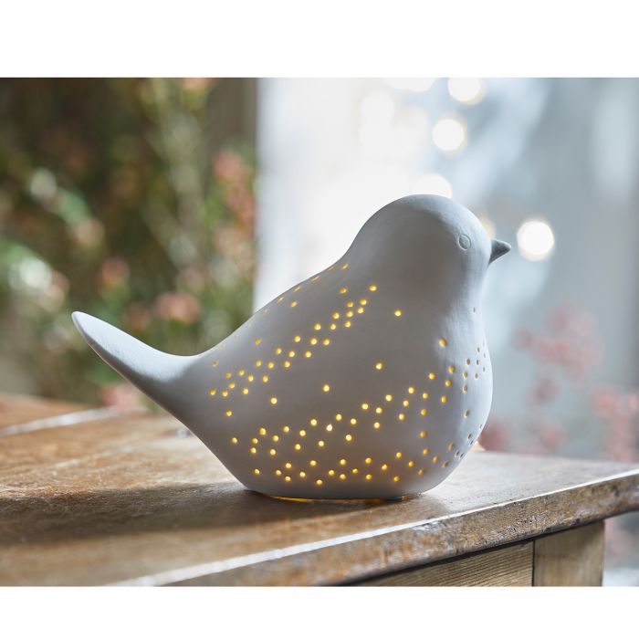 FABULEUX OISEAU