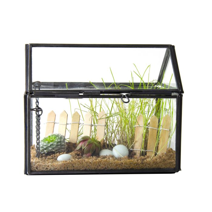 MINI SERRE A PLANTER ET DECORER