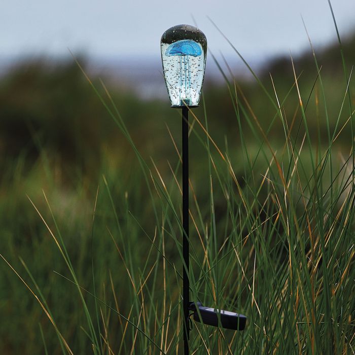 MEDUSE SOLAIRE OCEAN