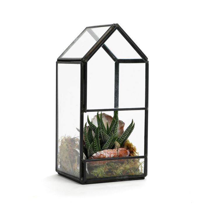 TERRARIUM MINI SERRE