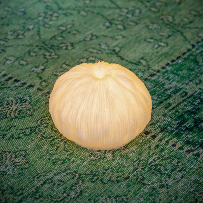 PETITE LAMPE CORAIL