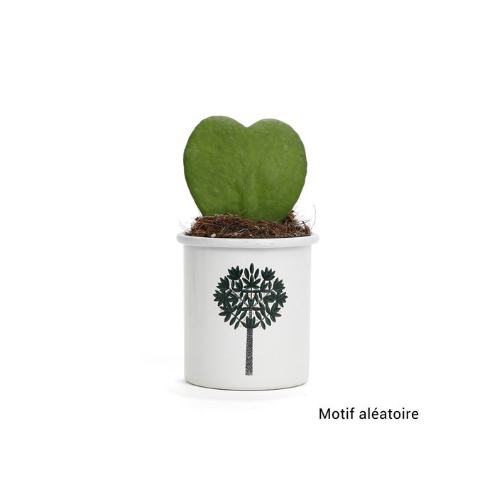 COEUR HOYA DANS PETIT POT METAL ARBRES